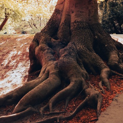 A Community Underground